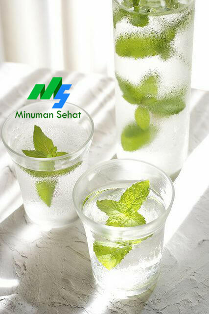 Infused Water Daun Mint Segar dan Menyehatkan