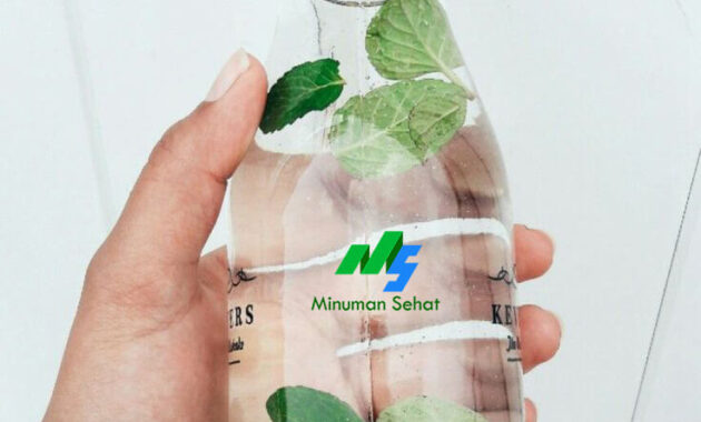 Manfaat Kesehatan Infused Water Daun Mint