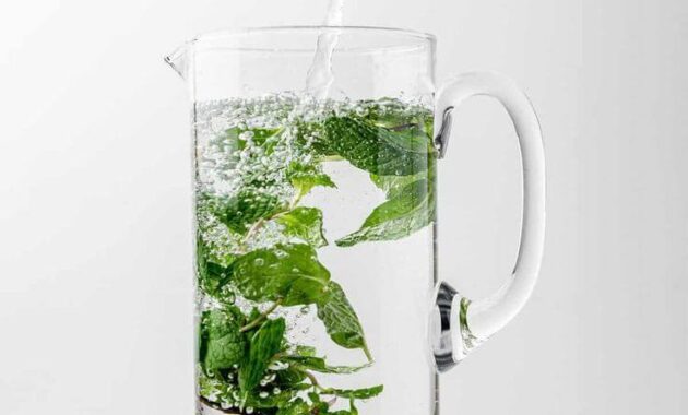 Menggabungkan Infused Water Daun Mint dengan Bahan Lain